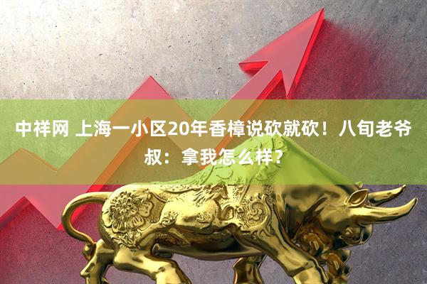 中祥网 上海一小区20年香樟说砍就砍！八旬老爷叔：拿我怎么样？