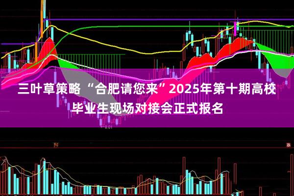 三叶草策略 “合肥请您来”2025年第十期高校毕业生现场对接会正式报名