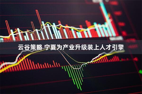 云谷策略 宁夏为产业升级装上人才引擎