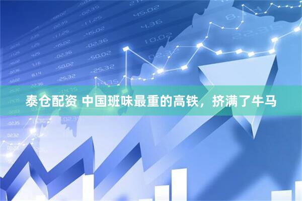 泰仓配资 中国班味最重的高铁，挤满了牛马