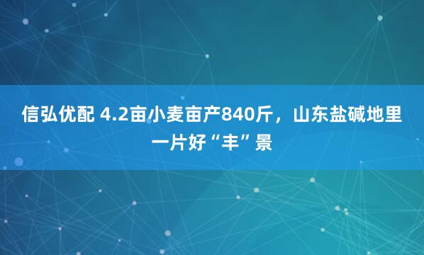 信弘优配 4.2亩小麦亩产840斤，山东盐碱地里一片好“丰”景