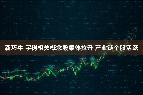 新巧牛 宇树相关概念股集体拉升 产业链个股活跃