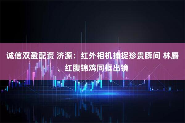 诚信双盈配资 济源：红外相机捕捉珍贵瞬间 林麝、红腹锦鸡同框出镜