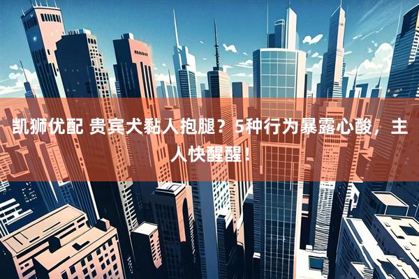 凯狮优配 贵宾犬黏人抱腿？5种行为暴露心酸，主人快醒醒！