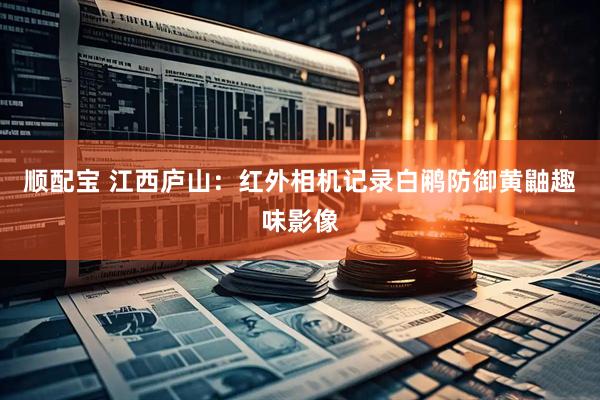 顺配宝 江西庐山：红外相机记录白鹇防御黄鼬趣味影像