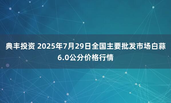 典丰投资 2025年7月29日全国主要批发市场白蒜6.0公分价格行情