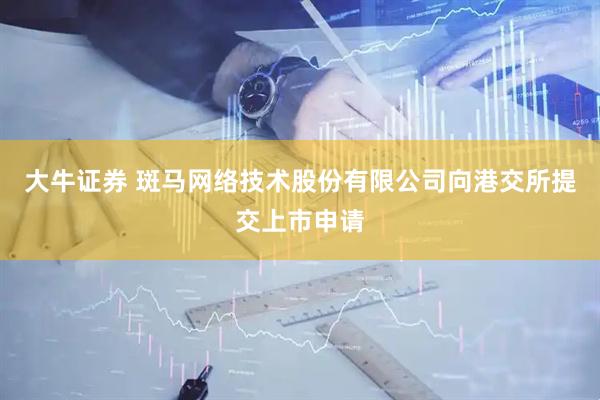 大牛证券 斑马网络技术股份有限公司向港交所提交上市申请
