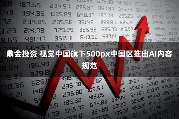 鼎金投资 视觉中国旗下500px中国区推出AI内容规范