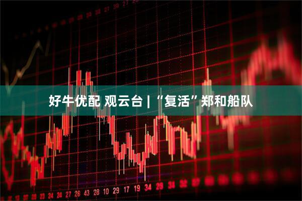好牛优配 观云台 | “复活”郑和船队