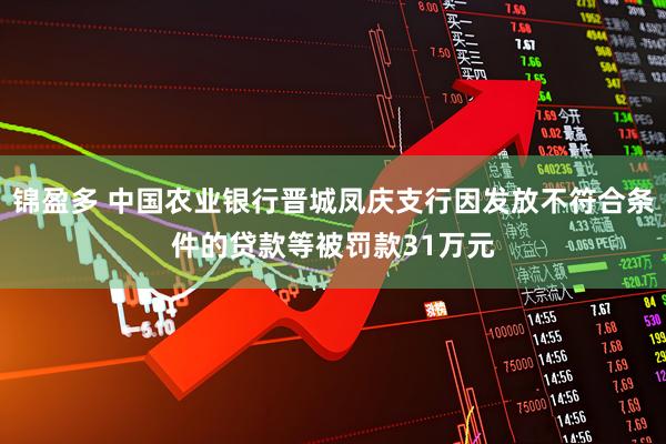 锦盈多 中国农业银行晋城凤庆支行因发放不符合条件的贷款等被罚款31万元